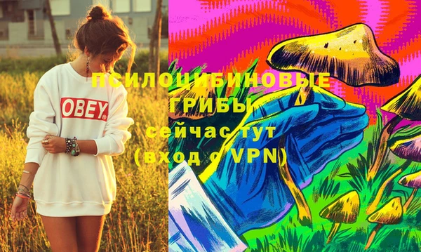 индика Белокуриха