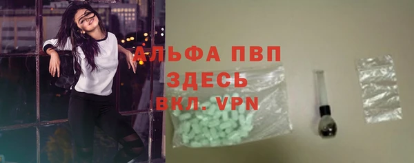 индика Белокуриха