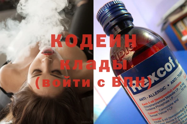 индика Белокуриха