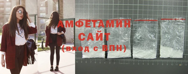 индика Белокуриха