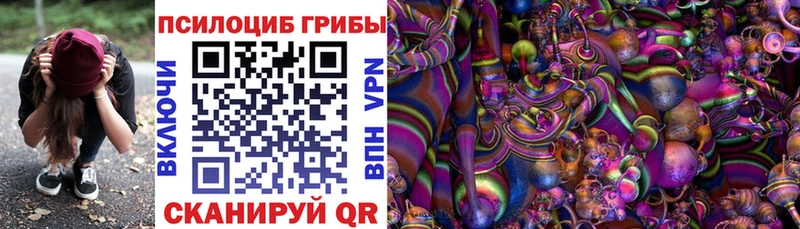 Псилоцибиновые грибы Psilocybe  наркота  МЕГА маркетплейс  Володарск 